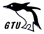 QnEg z[y[W