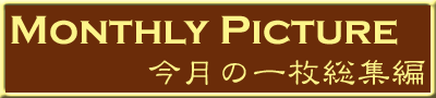 Monthly Picture