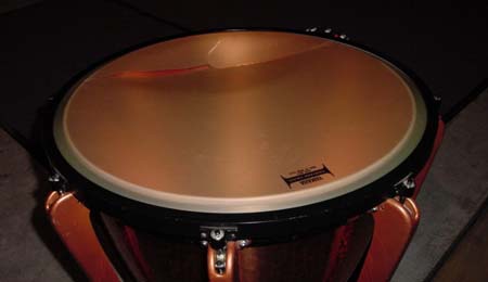 �w�b�h���j�ꂽ�e�B���p�j