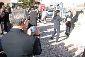 ���Ȃ�̂������ĎB�e���Ă܂�